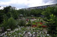 Prinzessinnengarten